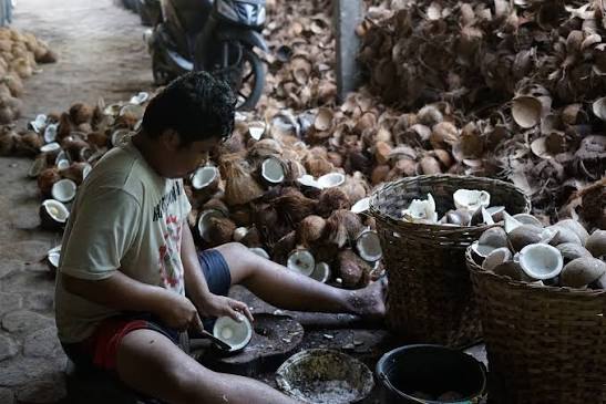 Gudang & penyimpanan bahan baku